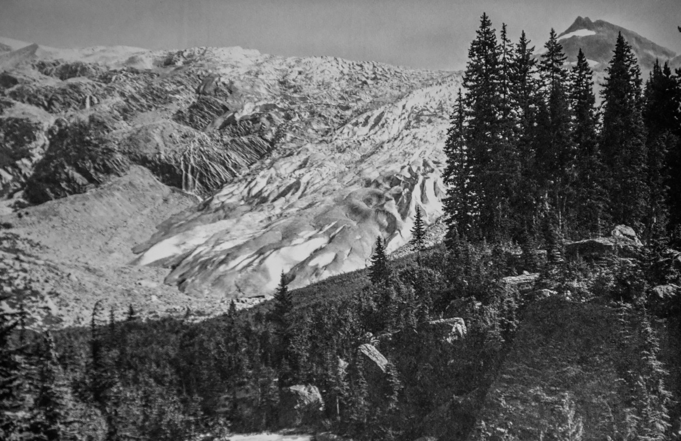 Utbredelsen i 1909. Bilde fra Notman Archives.