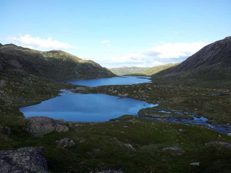 Botnedalen