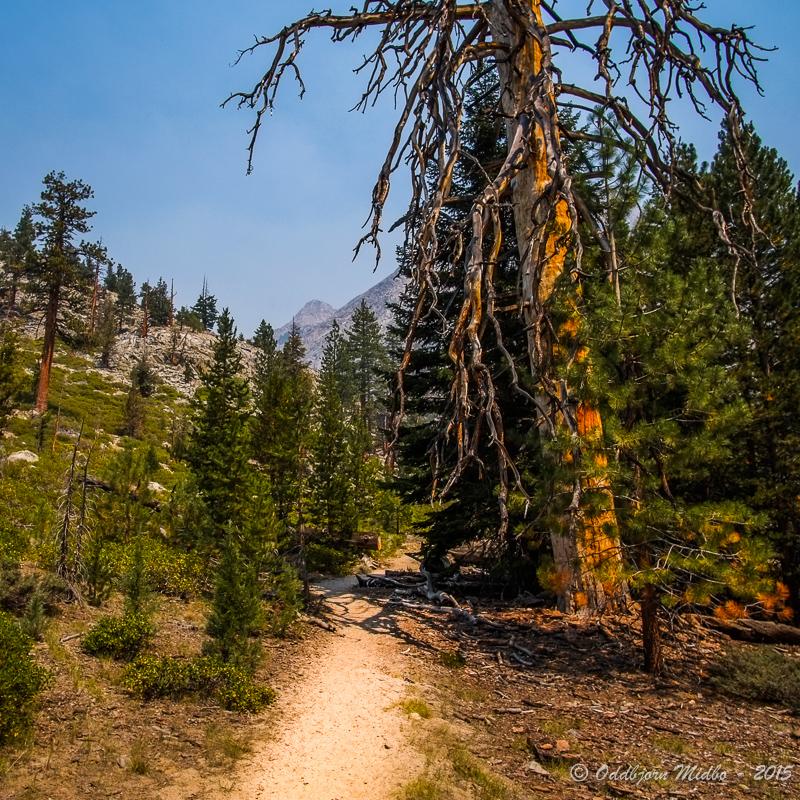 Dag16-6614.jpg.4c8f5450b1b41de12c0453fcb