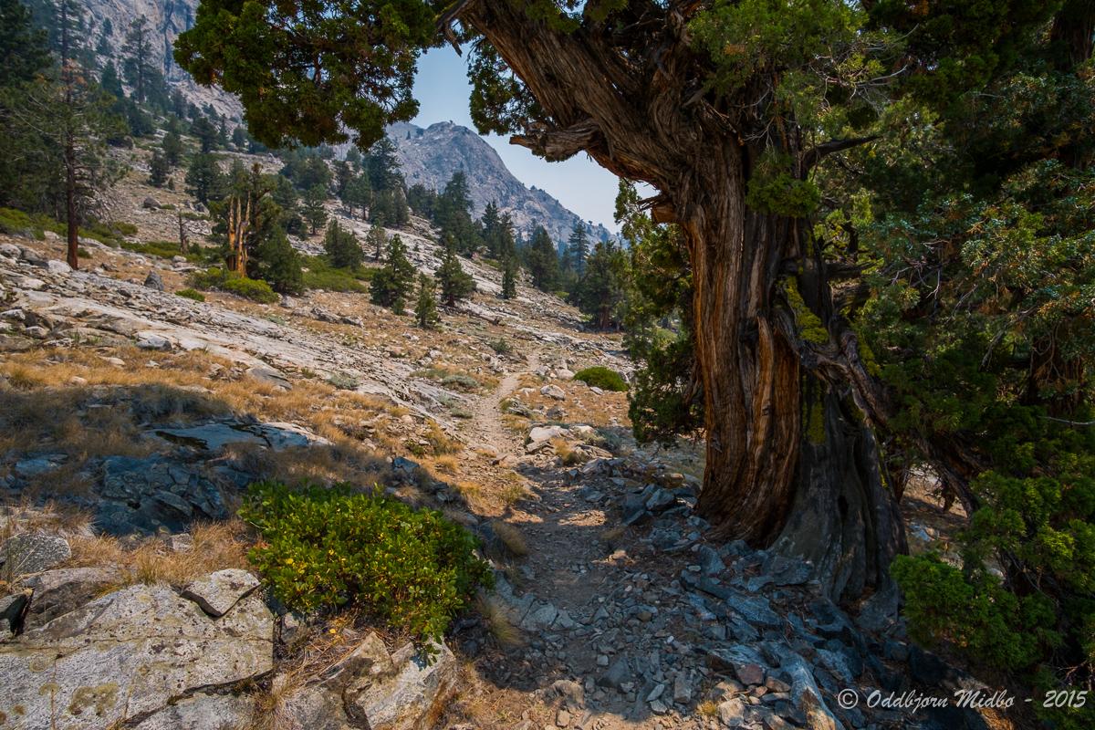 Dag16-6626.jpg.a083d9b7428f7a830a5c84a5b