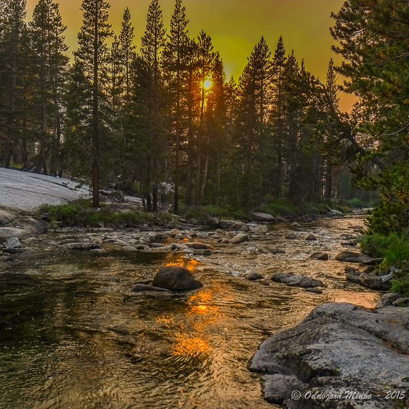 Dag16-6697.jpg.249b70b6660063b386c1f1fcc