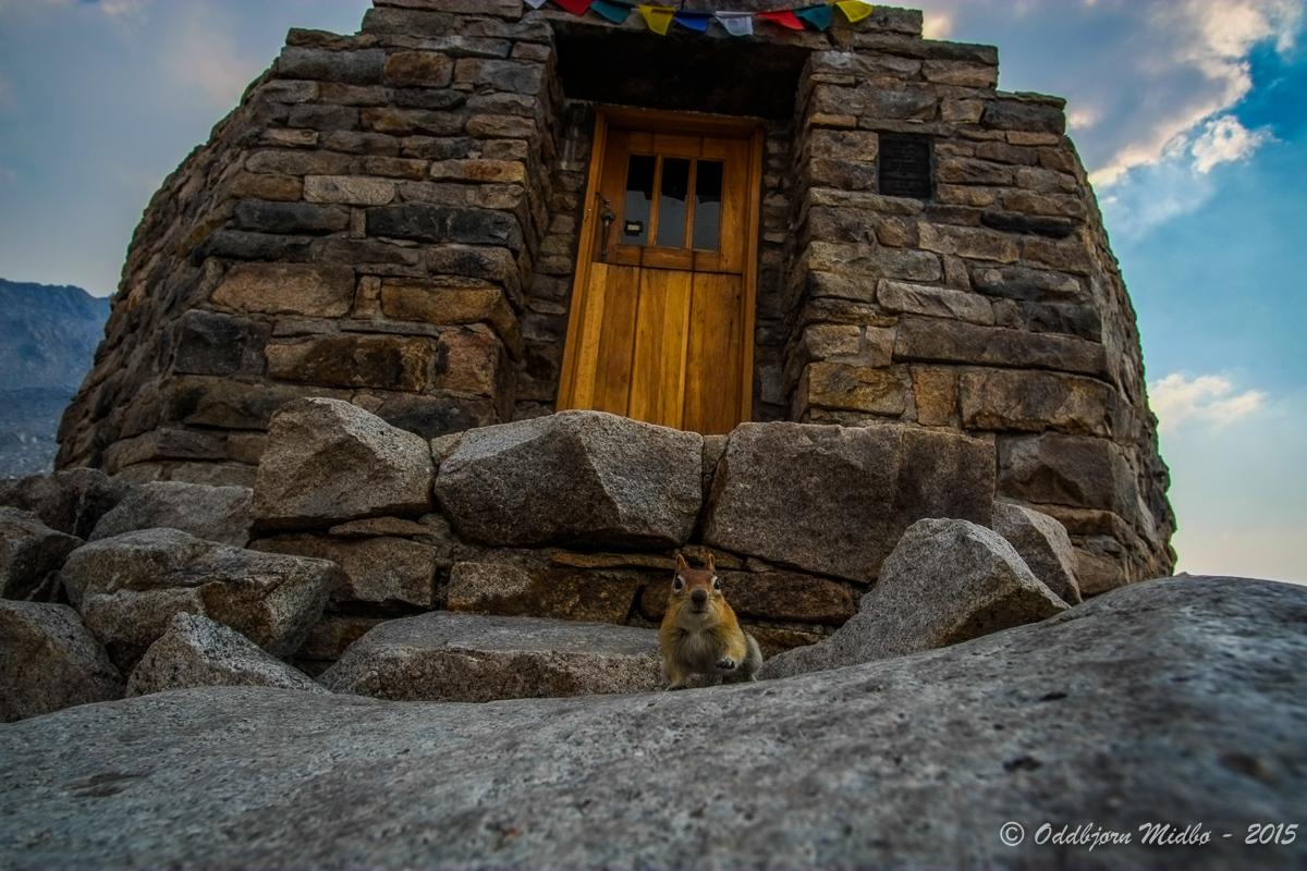 Dag17-6793.jpg.a962651f797b4e5968a1af10f