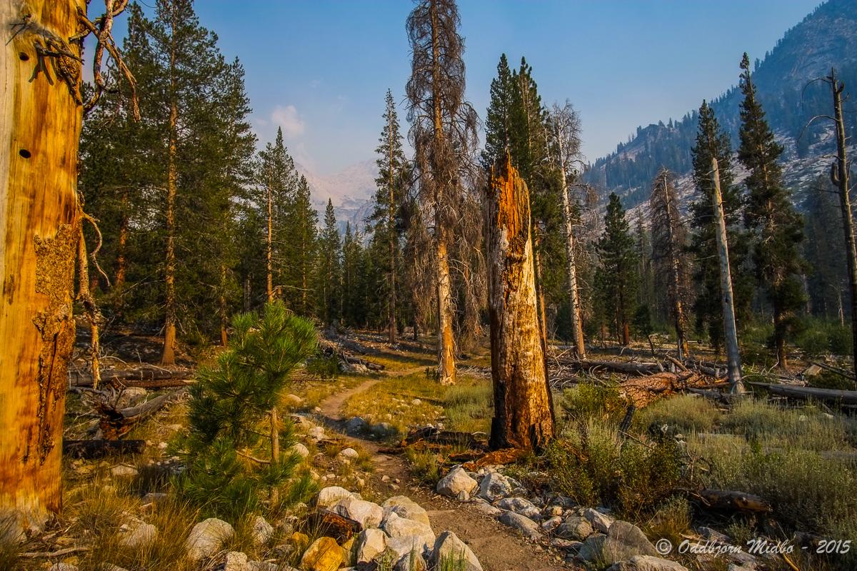 Dag18-6933.jpg.7cfe069dd23139c3161aaf19c