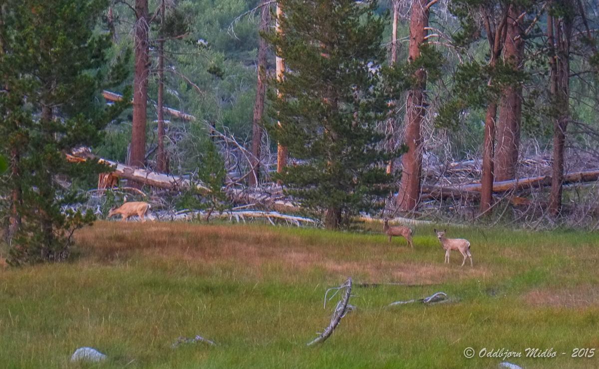 Dag18-6944.jpg.890239cb4b052e67e780aa1cb