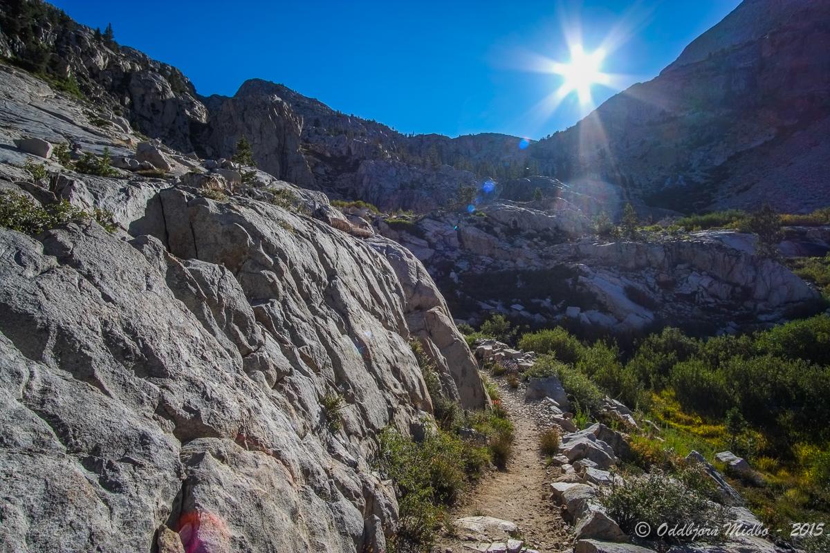 Dag19-6985.jpg.704519f14cdca802d49bf3c5d