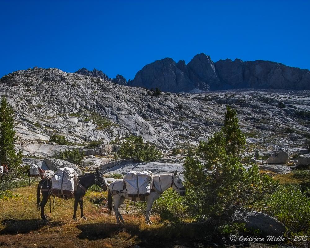 Dag19-7030.jpg.ff2e1ac52db31610d2fafd09e