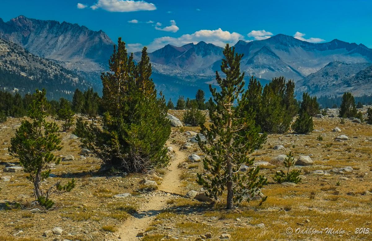 Dag19-7124.jpg.c22776748432717fb3b174131