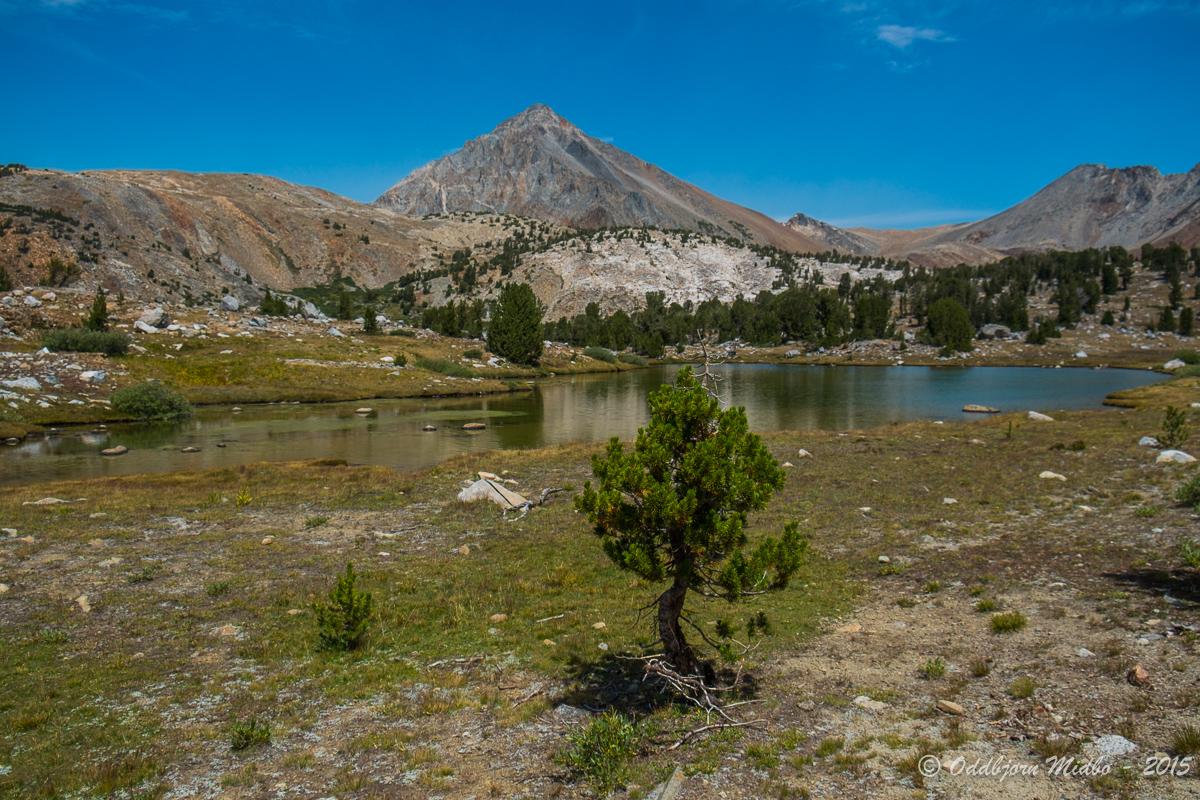 Dag20-7249.jpg.19f6fd260eb25711362adb01d