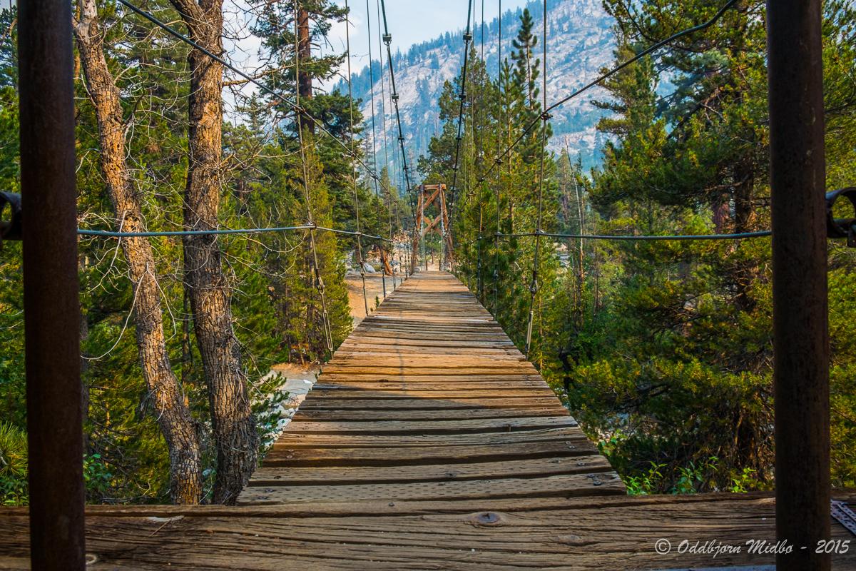 Dag20-7269.jpg.5ceaf8c1123e8b8f101626e4a