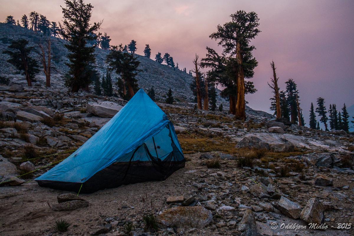 Dag20-7308.jpg.9d7f983c8d0abd74e9ae3f393