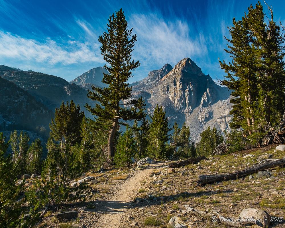 Dag21-7382.jpg.ecded347b5e5901fafc51d42c