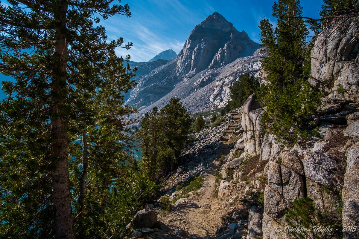 Dag21-7423.jpg.c6775d684a66d581c2ba1abd8