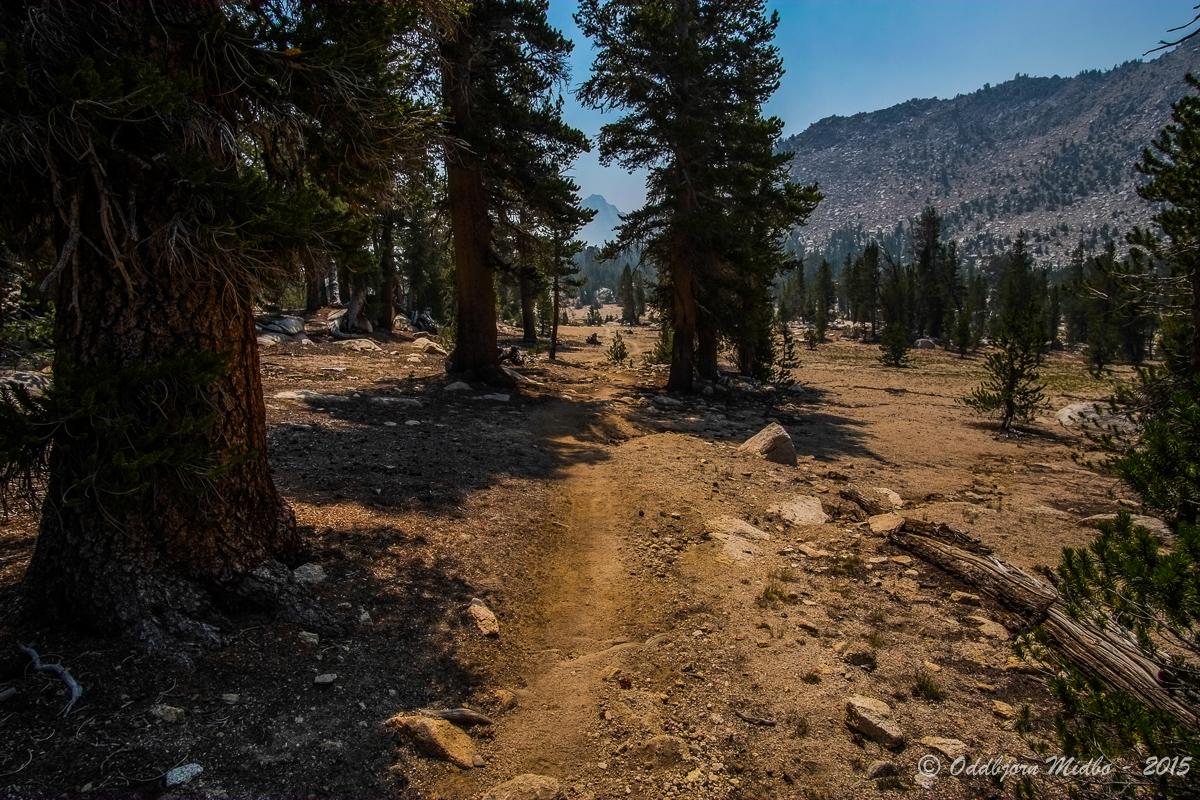 Dag21-7506.jpg.beceace99c7e3230cd76e1752