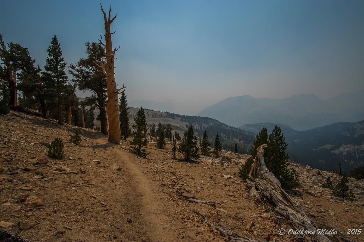 Dag22-7709.jpg.9395e6fabcd4a943602b7db0f