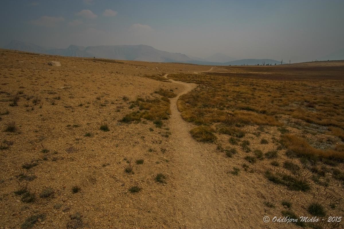 Dag22-7727.jpg.0811f7379517083329ac4316a