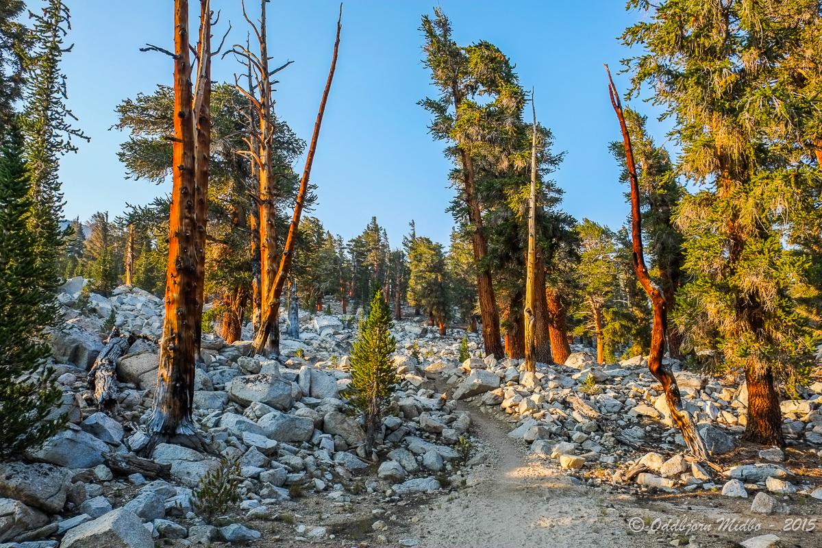 Dag23-7787.jpg.139d03ddf23fa94a7aba0f054