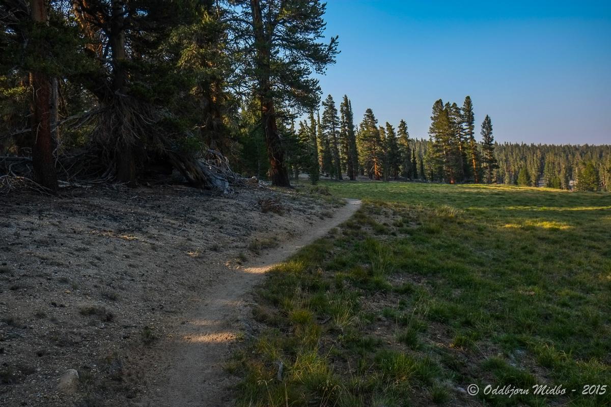 Dag23-7794.jpg.da9dcfde317e6dd525fdd2bb0