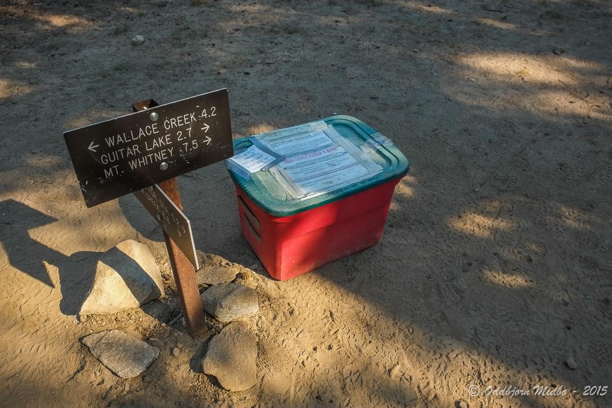 Dag23-7803.jpg.2999cb3f59c1acae3d1019556