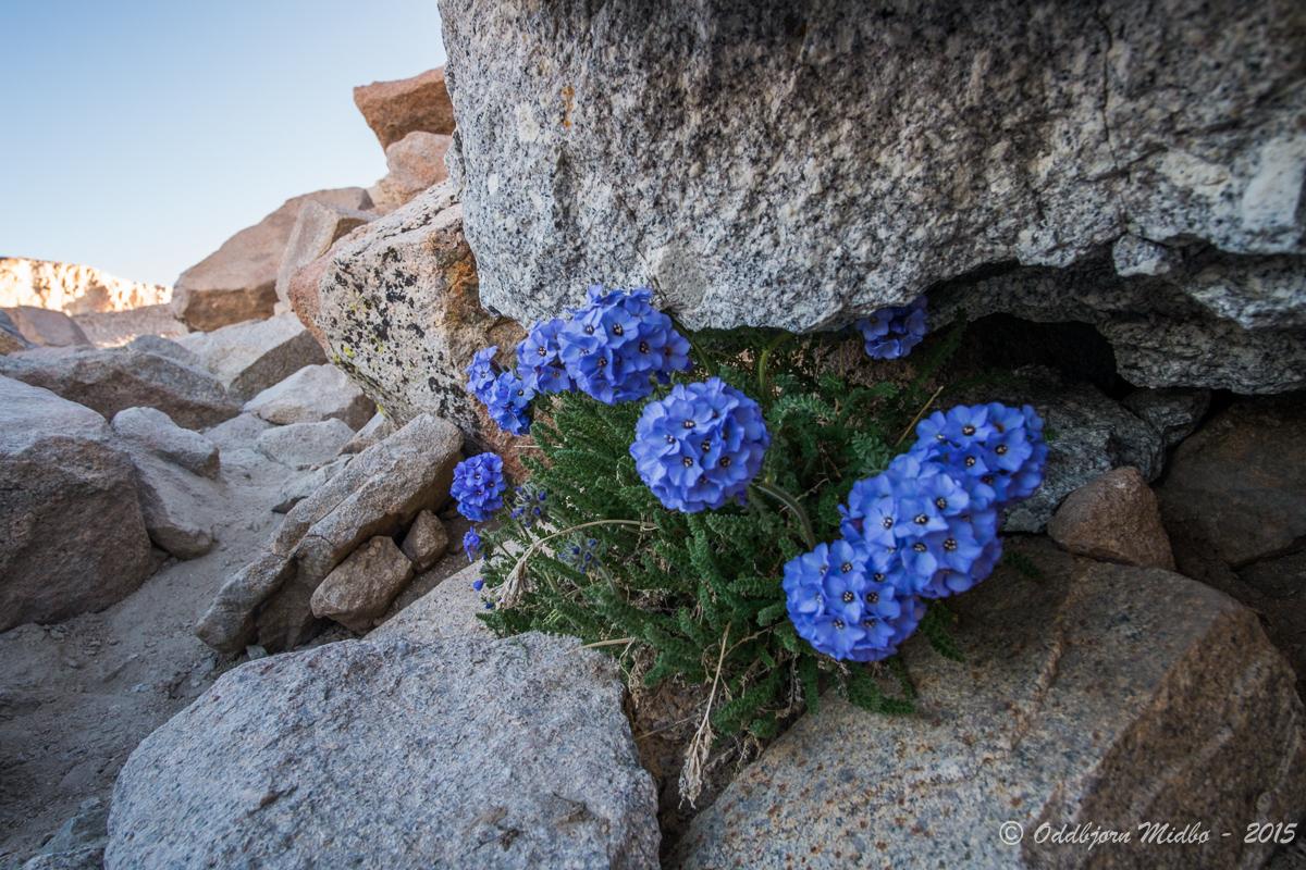 Dag24-7971.jpg.db66eb6dd3c21772b61c48afd