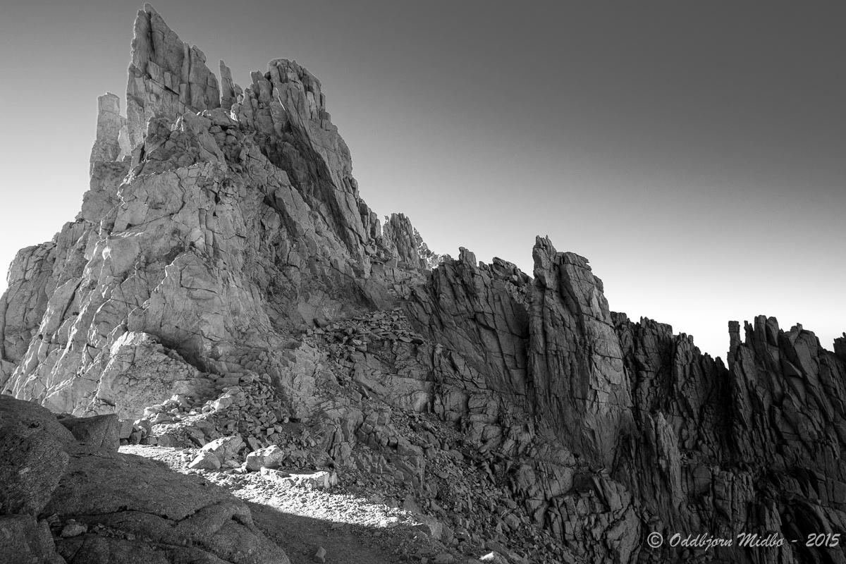 Dag24-7983.jpg.ba28223ec01aa28b81719b5fb