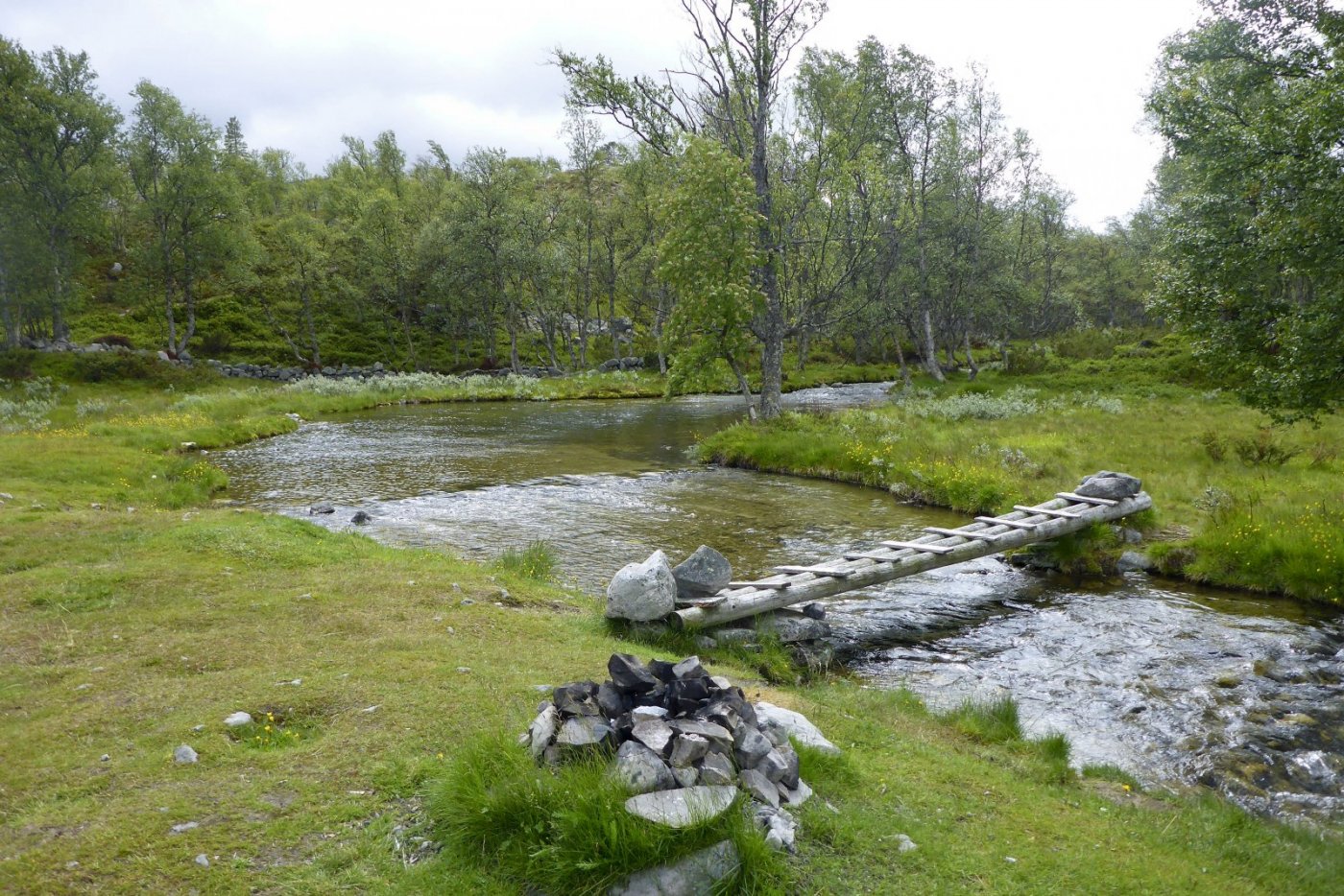 P1020425.jpg