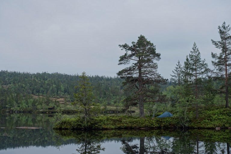 DSC01322.jpg?resize=768,512