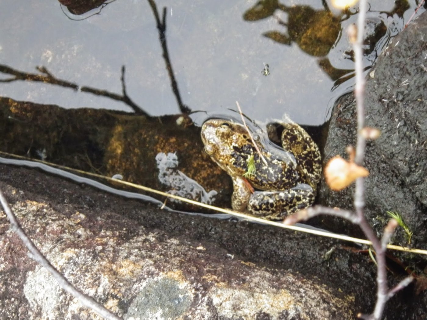 Kvistdalen%2B5-7%2BSeptember%2B2014%2B08