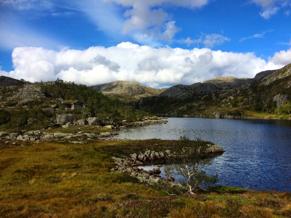 IMG_2717.jpg?resize=1024,768