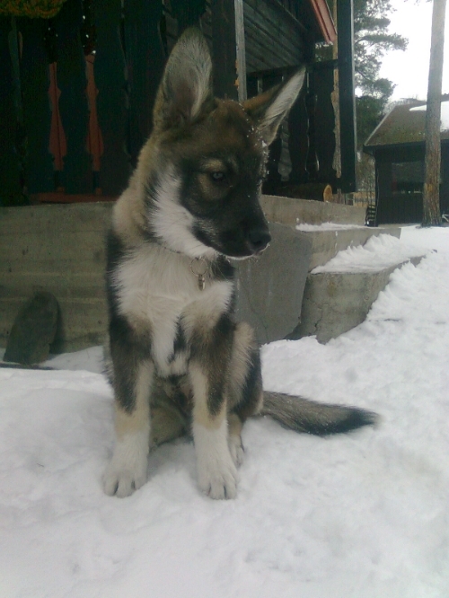 0f3da991-112a-4e6f-8d5b-bf59c77065e1_zps