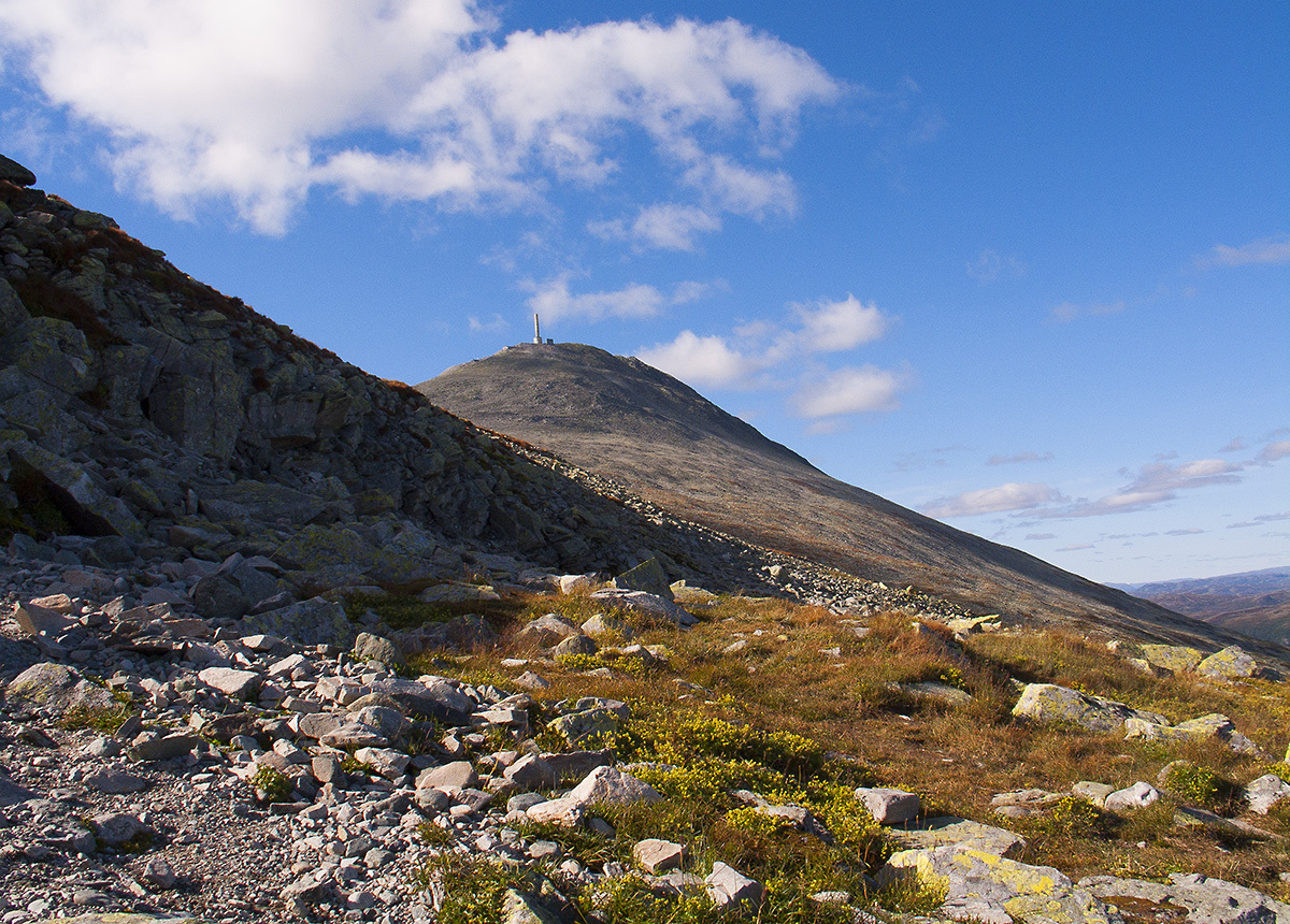 1047223_large_C48DA9BE-057B-11E6-AEEF-D5