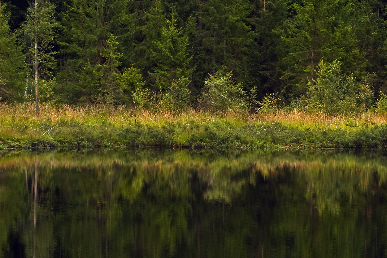 1047551_large_11752BC6-09F5-11E6-9A2B-D3