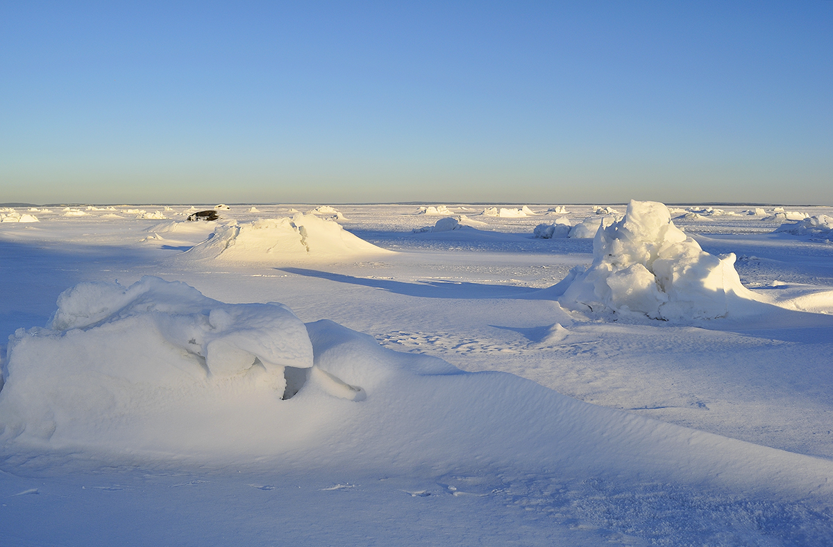 1048515_large_27CE53D4-167A-11E6-9EB2-C1