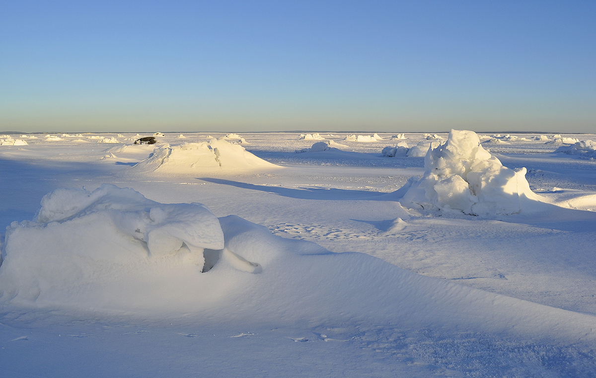 1049016_large_98AA3D26-1D9A-11E6-9C4A-25