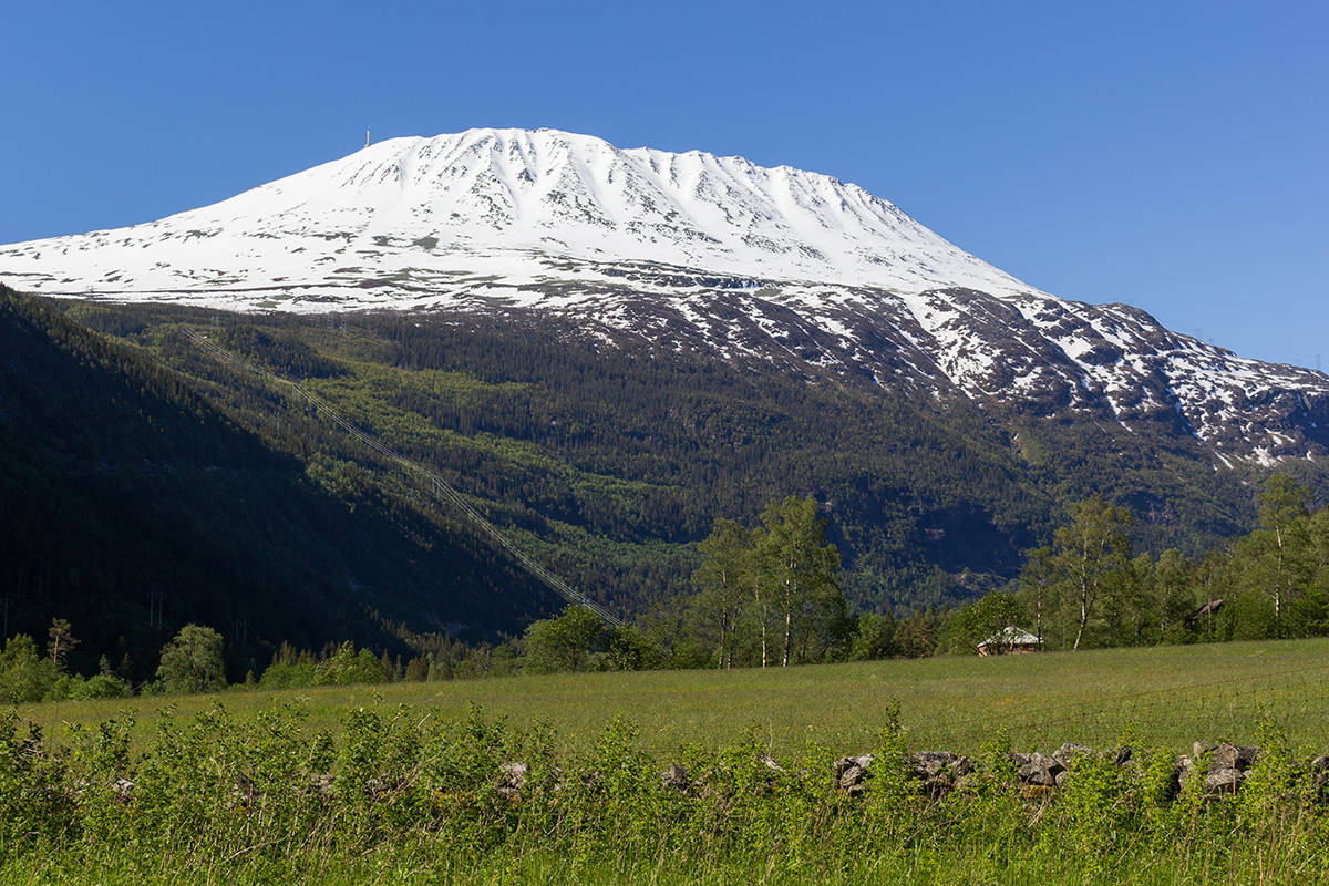 1051523_large_A637AE58-407F-11E6-913B-50