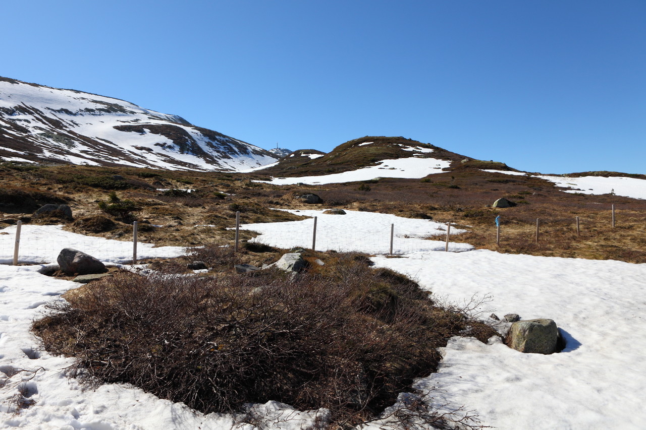 1067262_large_770F26D2-2446-11E7-82EF-25