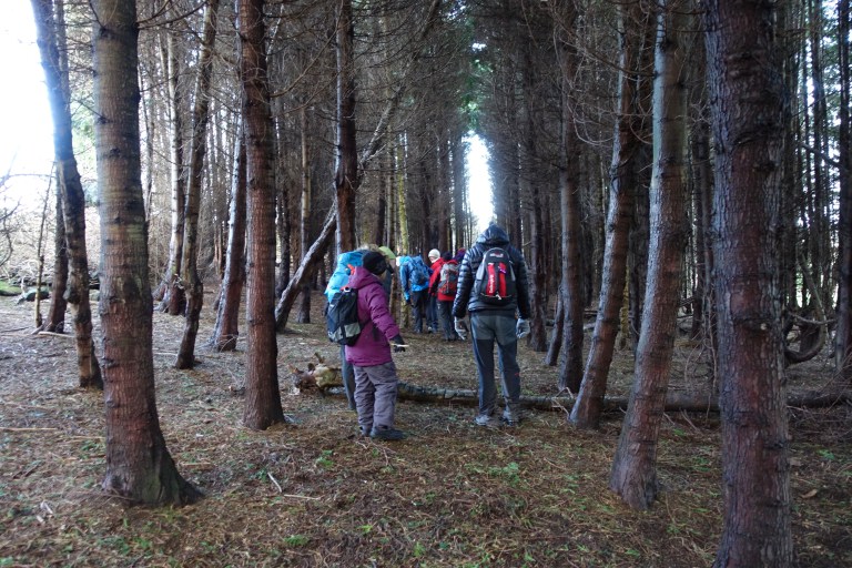 DSC00360.jpg?resize=768,512