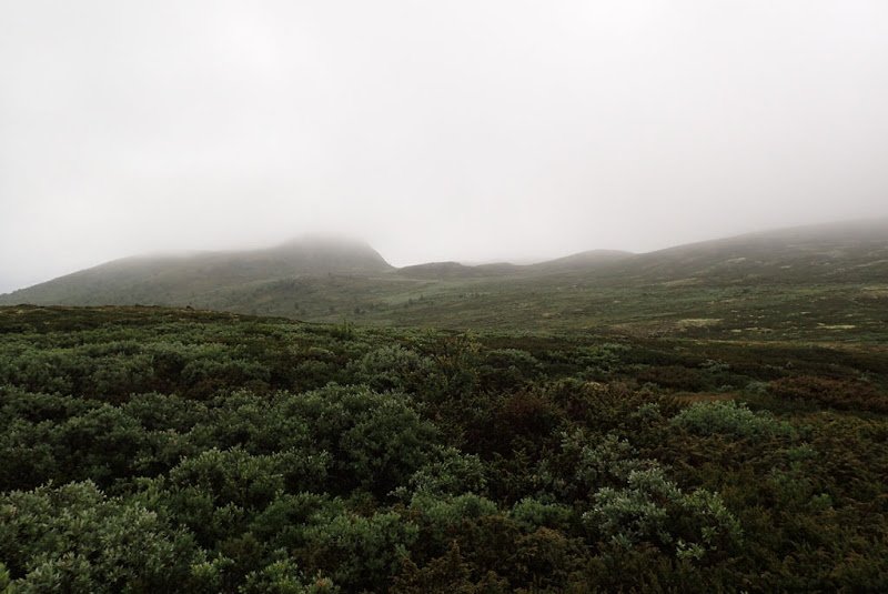 150804_Espedalen_Storhoeliseter_04_Utsik