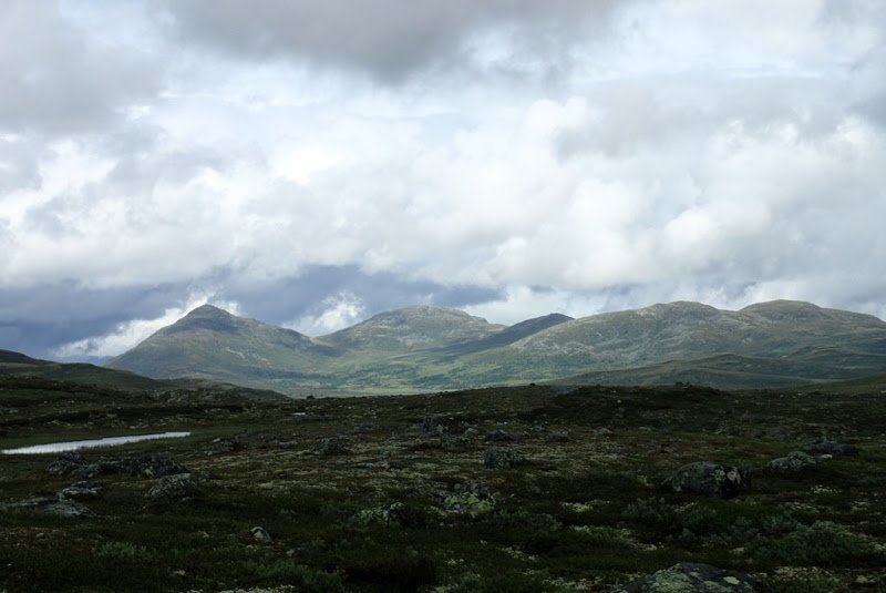 150805_Storhoeliseter_Liomseter_07_Fjell