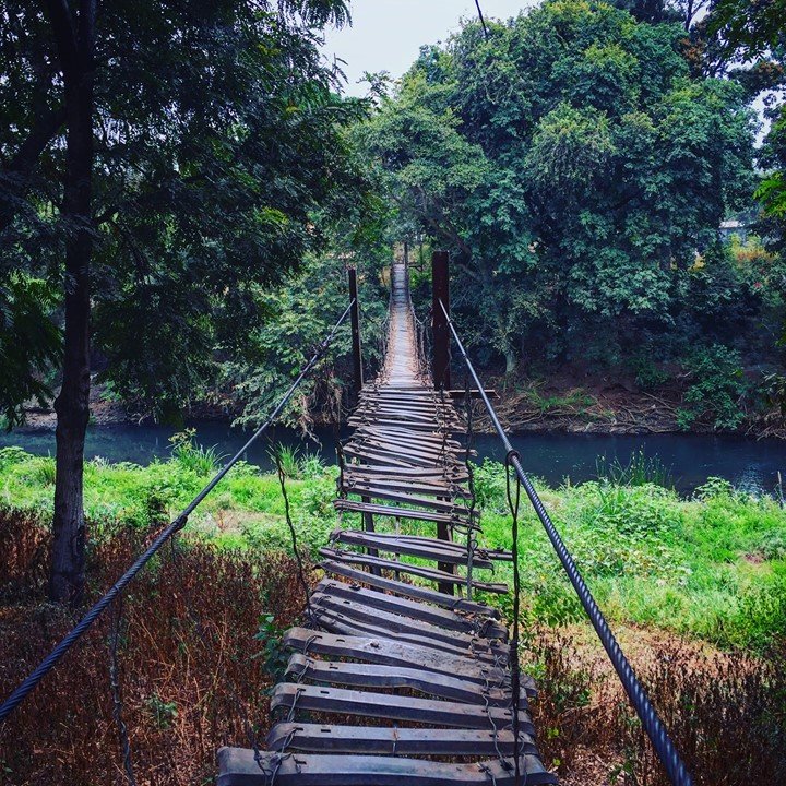 31131317_2048838728492128_37523387011668