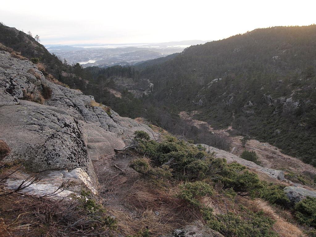 589cc82c5ce44_Skaret(P2090988).JPG.655bb