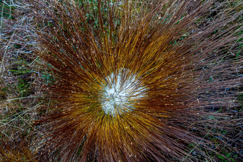 Vallresknuten03.jpg?resize=1024,683