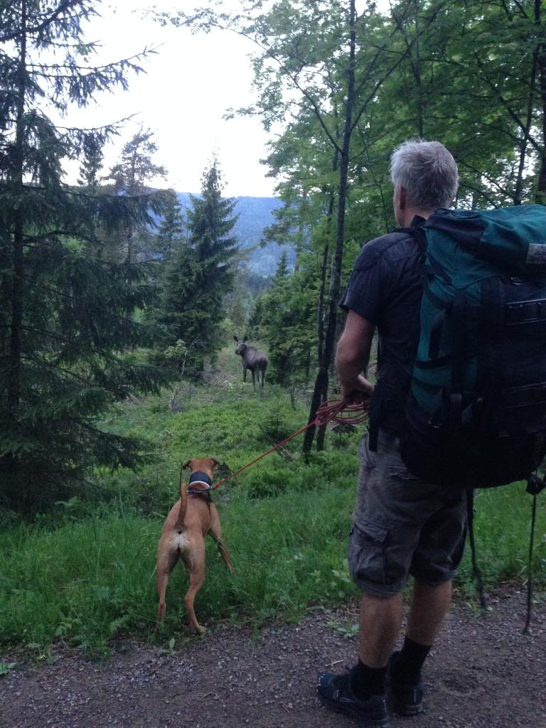 1C1428FB-F684-4164-B855-9EFB55169FC4_zps