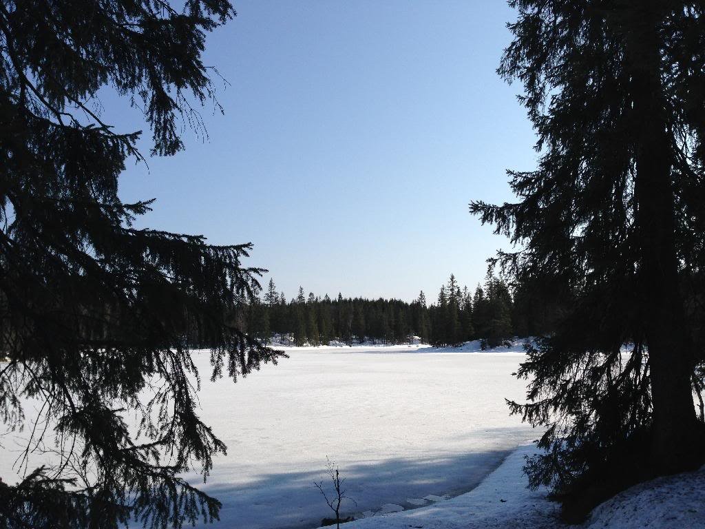 1E7FABAF-51BB-4EB9-A462-F58AD5E53B1B_zps