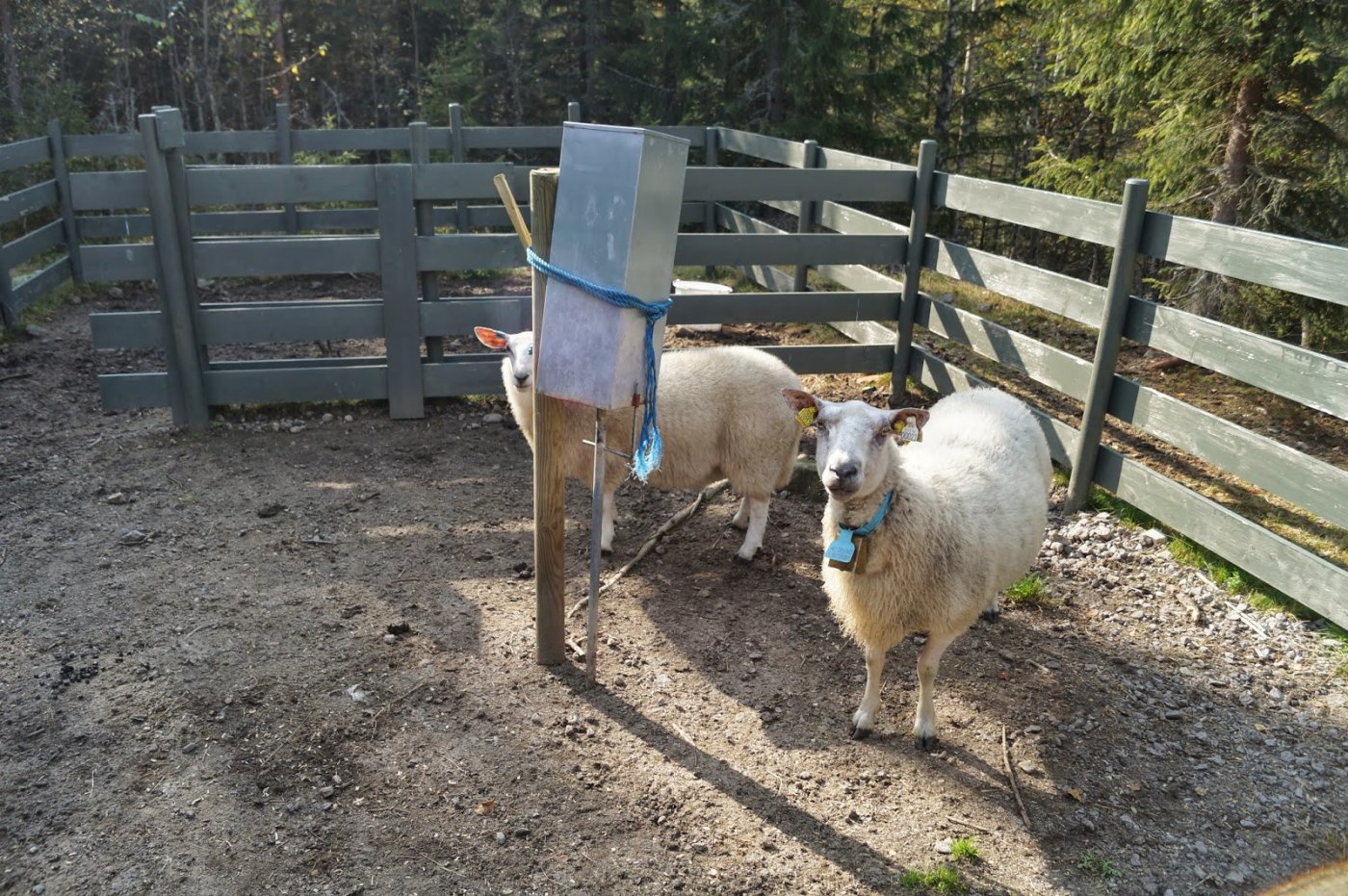 Jotunheimstien%2Bdel%2B2.%2BBrovoll-Lygn