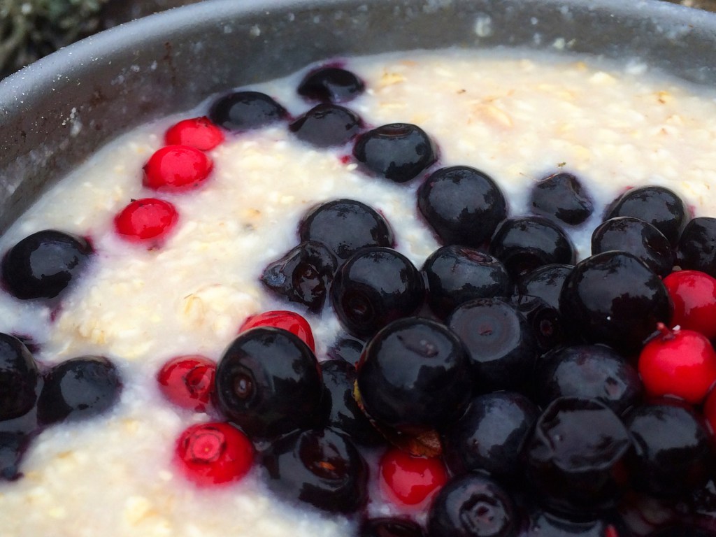 IMG_2721.jpg?resize=1024,768