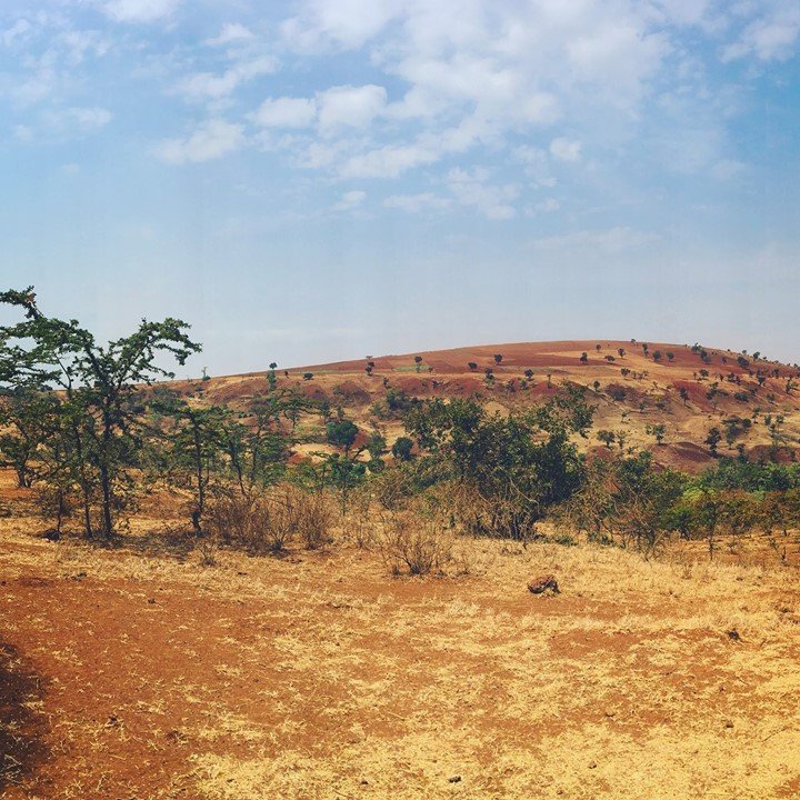 31067462_2048842808491720_30092662288972