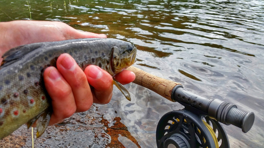 20150801_1256132.jpg?w=855&h=482