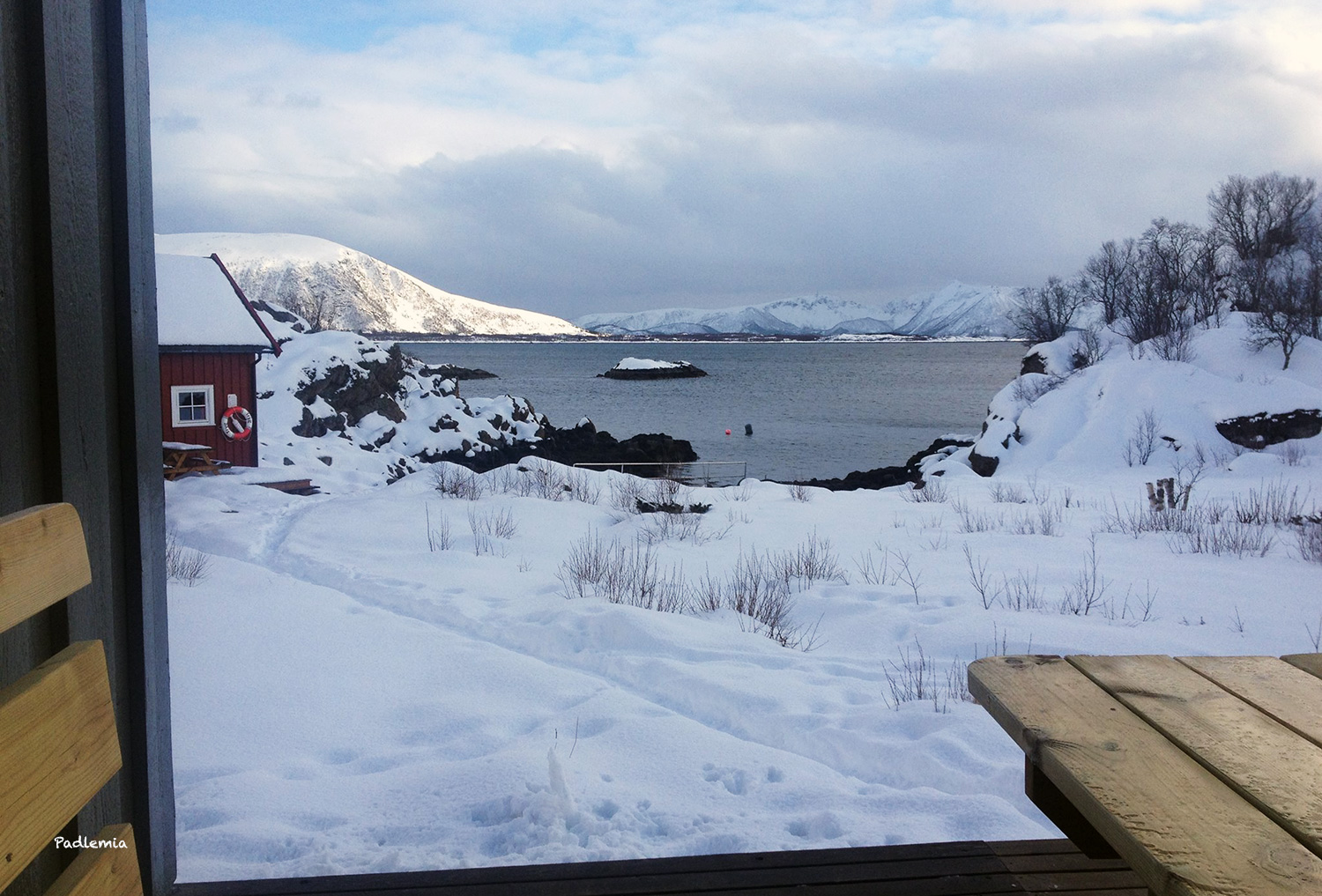 29872418_1645727078814439_50102650349091