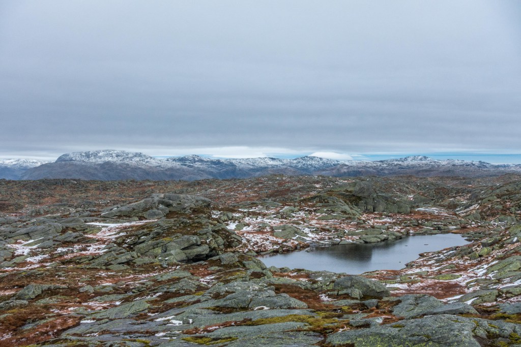 Vallresknuten08.jpg?resize=1024,683