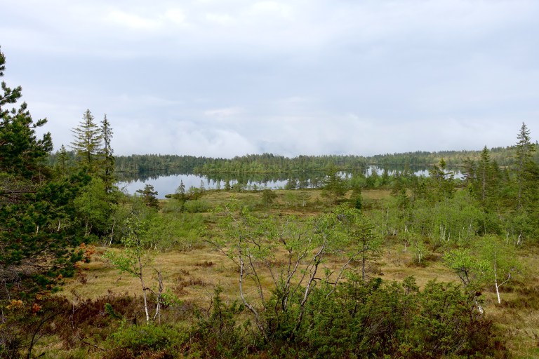 DSC01300.jpg?resize=768,512